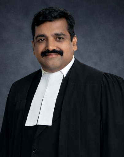 LEGAL AMICUS